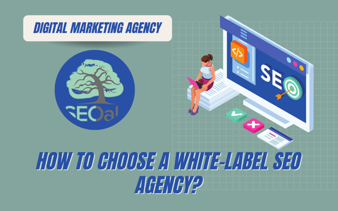 How To Choose A White-Label SEO Agency