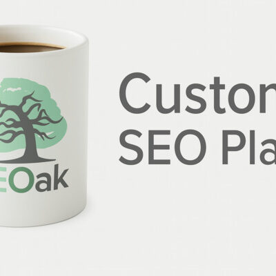 Custom SEO Plan